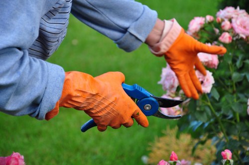 Local arborists planning a tree removal near a property boundary in Ickenham