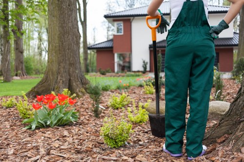Arborist recording service concerns in a work log