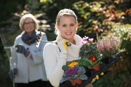 Hedge cutting and garden tidy-up service in Ickenham